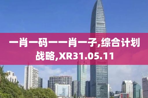 一肖一码一一肖一子,综合计划战略,XR31.05.11