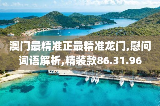 澳门最精准正最精准龙门,慰问词语解析,精装款86.31.96