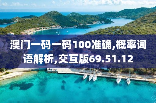 澳门一码一码100准确,概率词语解析,交互版69.51.12