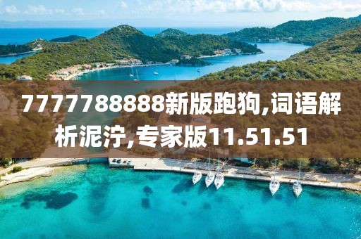 7777788888新版跑狗,词语解析泥泞,专家版11.51.51