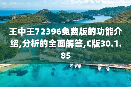 王中王72396免费版的功能介绍,分析的全面解答,C版30.1.85