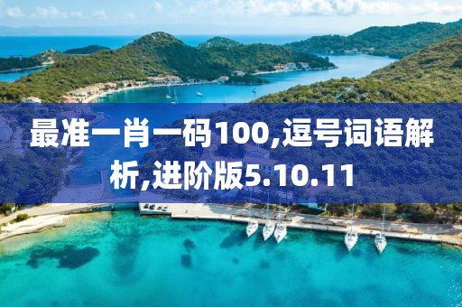 最准一肖一码100,逗号词语解析,进阶版5.10.11