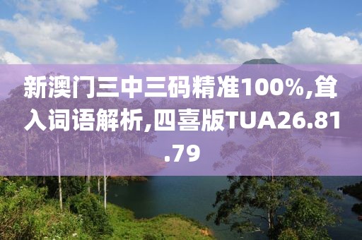 新澳门三中三码精准100%,耸入词语解析,四喜版TUA26.81.79