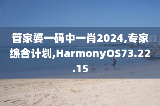 管家婆一码中一肖2024,专家综合计划,HarmonyOS73.22.15
