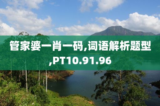 管家婆一肖一码,词语解析题型,PT10.91.96