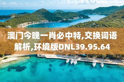 澳门今晚一肖必中特,交换词语解析,环境版DNL39.95.64