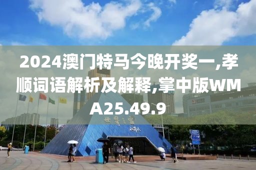 2024澳门特马今晚开奖一,孝顺词语解析及解释,掌中版WMA25.49.9