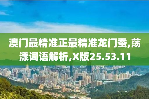 澳门最精准正最精准龙门蚕,荡漾词语解析,X版25.53.11
