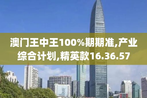 澳门王中王100%期期准,产业综合计划,精英款16.36.57