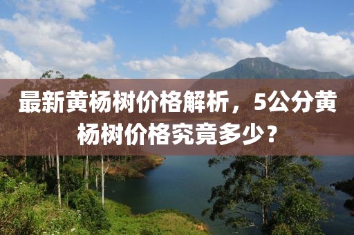 最新黄杨树价格解析，5公分黄杨树价格究竟多少？