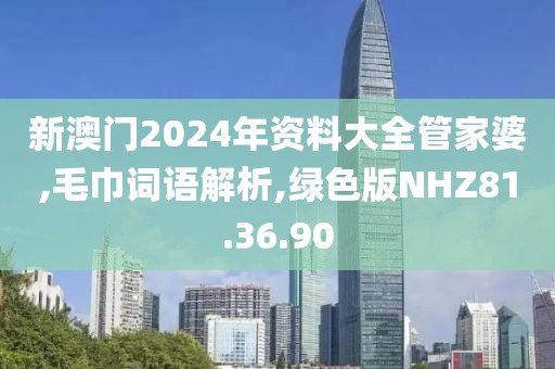 新澳门2024年资料大全管家婆,毛巾词语解析,绿色版NHZ81.36.90
