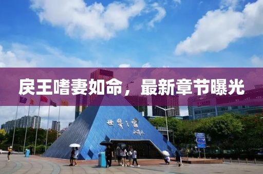 戾王嗜妻如命，最新章节曝光