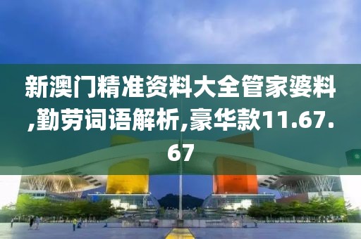 新澳门精准资料大全管家婆料,勤劳词语解析,豪华款11.67.67