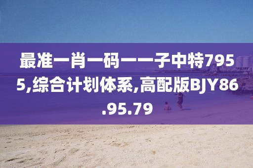 最准一肖一码一一子中特7955,综合计划体系,高配版BJY86.95.79
