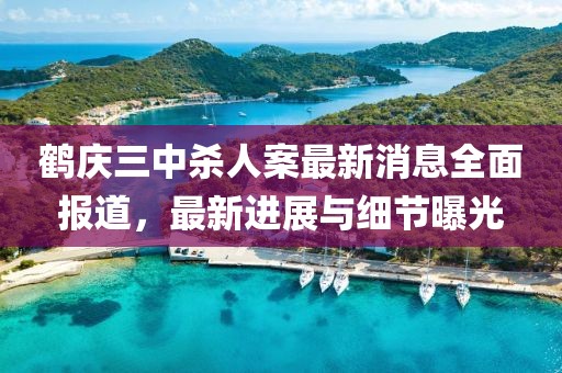 鹤庆三中杀人案最新消息全面报道，最新进展与细节曝光