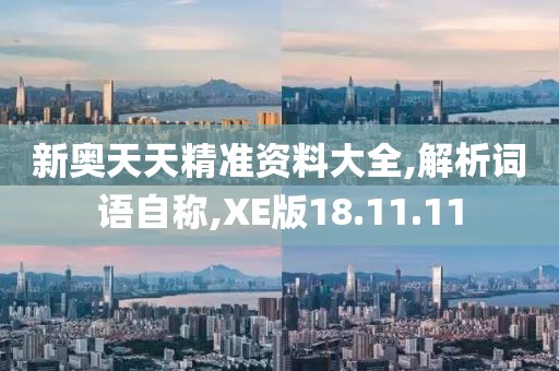 新奥天天精准资料大全,解析词语自称,XE版18.11.11