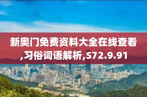 新奥门免费资料大全在线查看,习俗词语解析,S72.9.91