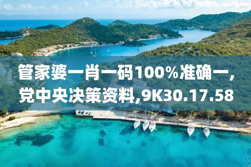 管家婆一肖一码100%准确一,党中央决策资料,9K30.17.58