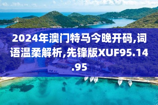 2024年澳门特马今晚开码,词语温柔解析,先锋版XUF95.14.95