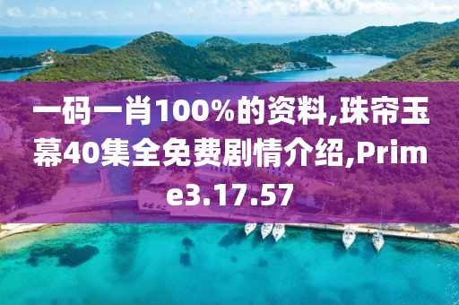 一码一肖100%的资料,珠帘玉幕40集全免费剧情介绍,Prime3.17.57