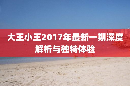 大王小王2017年最新一期深度解析与独特体验