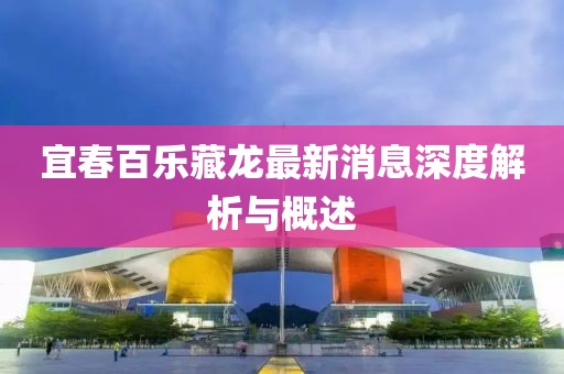 宜春百乐藏龙最新消息深度解析与概述