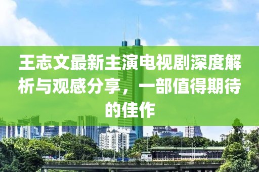 王志文最新主演电视剧深度解析与观感分享，一部值得期待的佳作