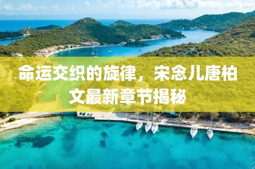 命运交织的旋律，宋念儿唐柏文最新章节揭秘