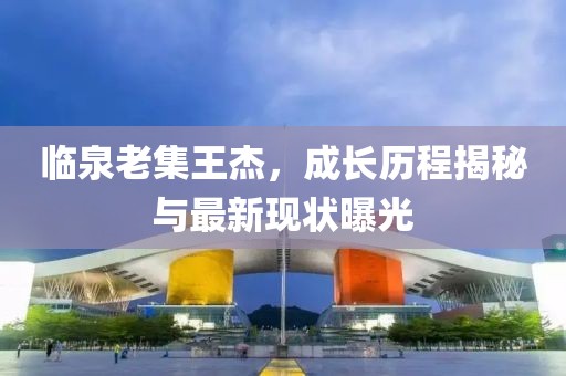 临泉老集王杰，成长历程揭秘与最新现状曝光