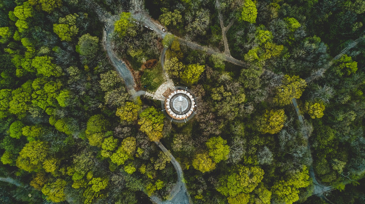江南烟雨断桥殇 第41页