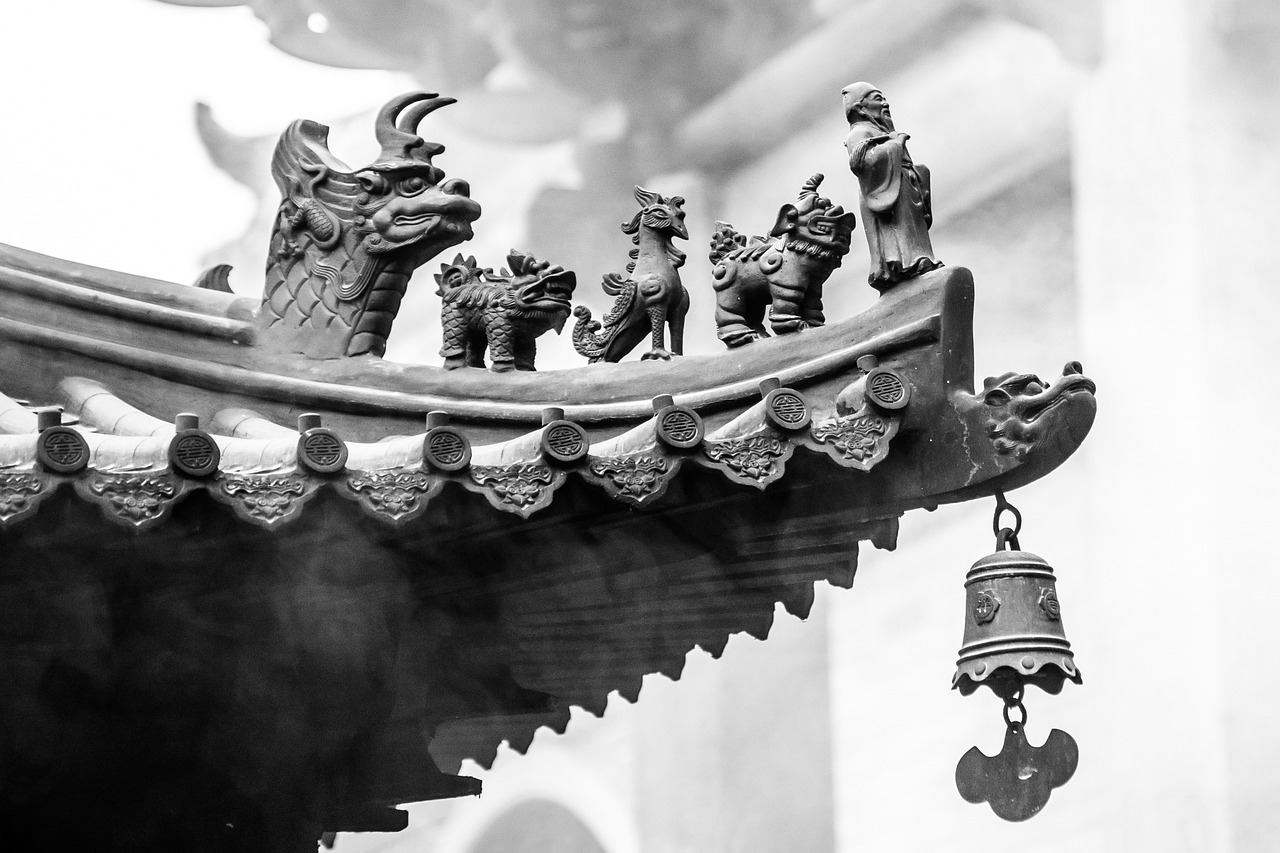 荣耀归来！揭秘2017年退伍老兵最新动态与未来篇章