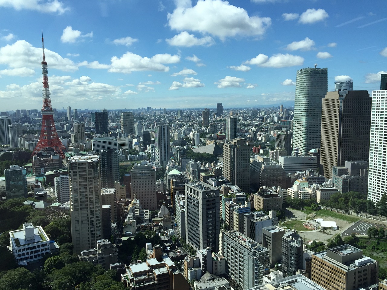 2024年12月 第105页