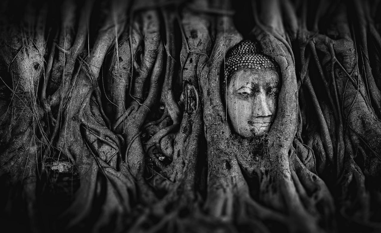 探寻神秘世界奇幻之旅，最新求仙动态一网打尽